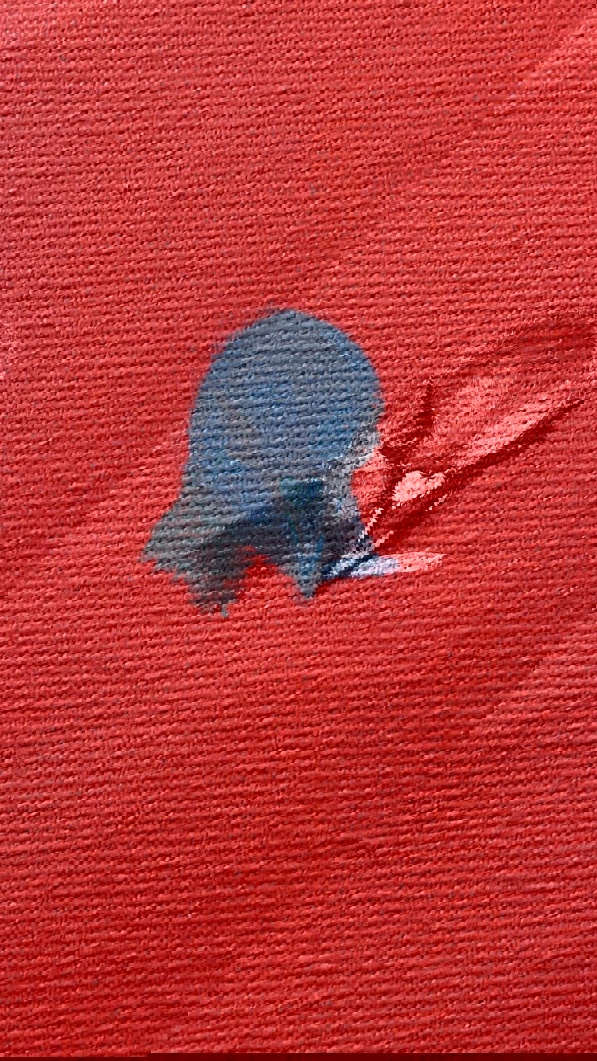 efrat_elmalich instagram image archive image