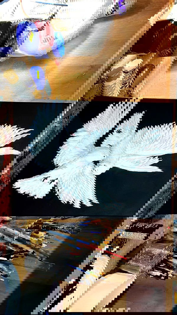 efrat_elmalich image ~ Altpins