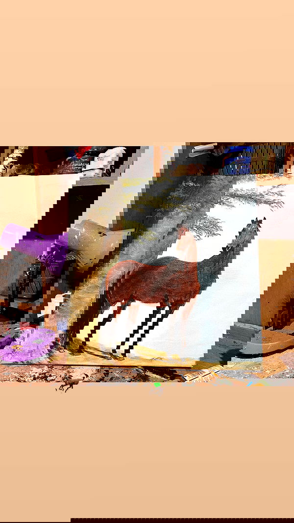 efrat_elmalich image ~ Altpins