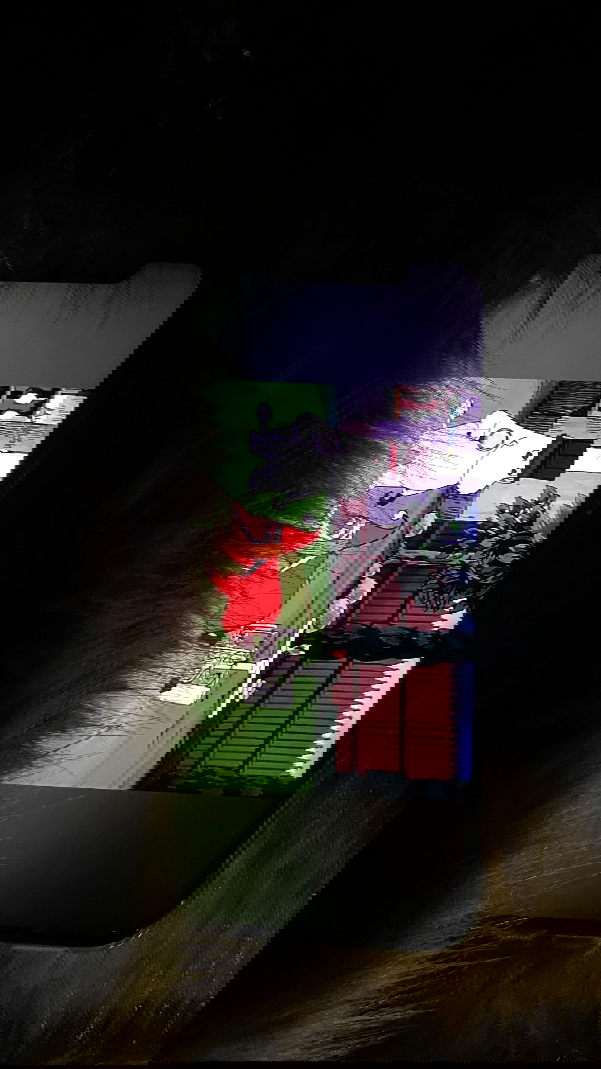 efrat_elmalich instagram image archive image