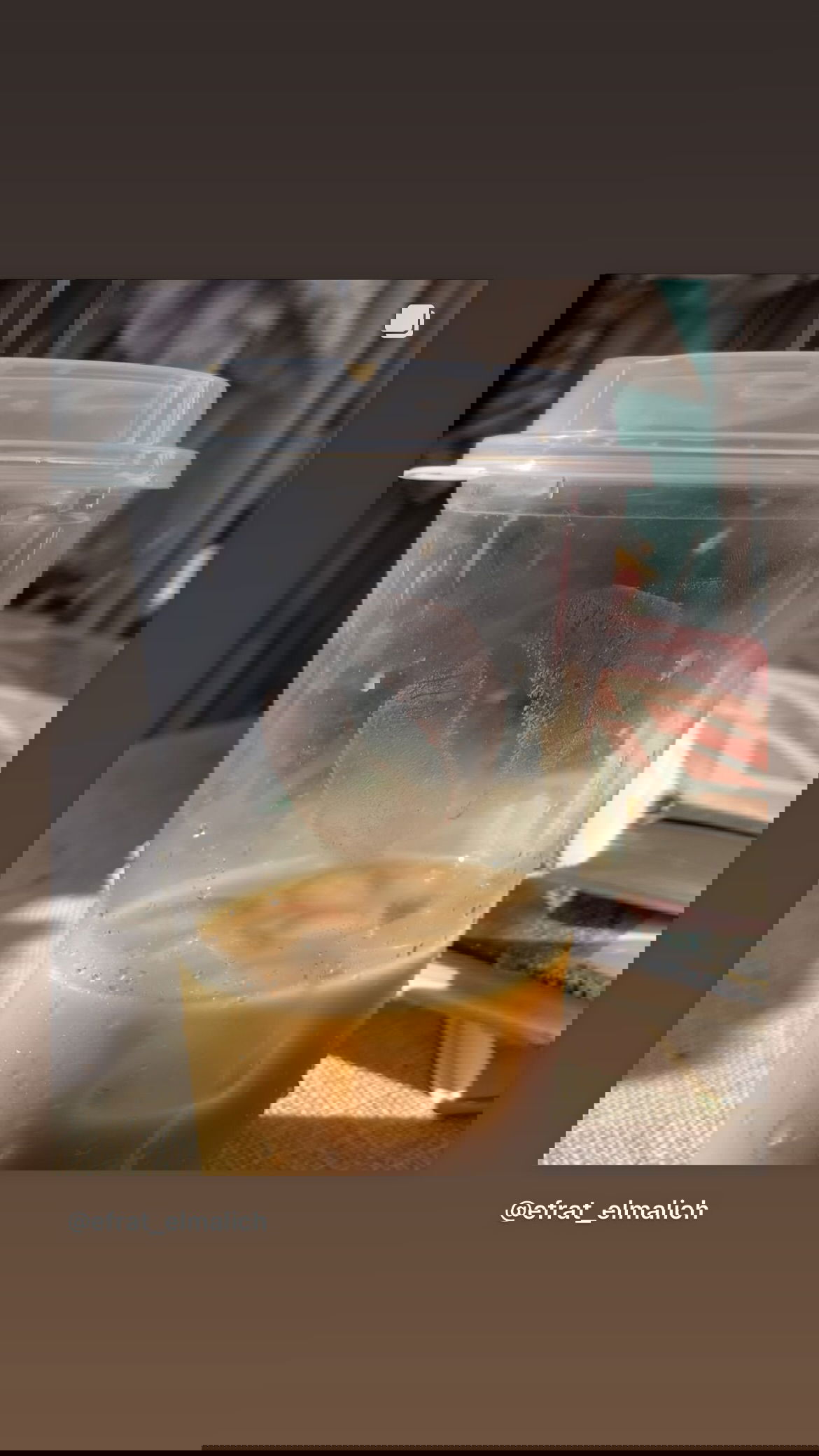 efrat_elmalich instagram image archive image