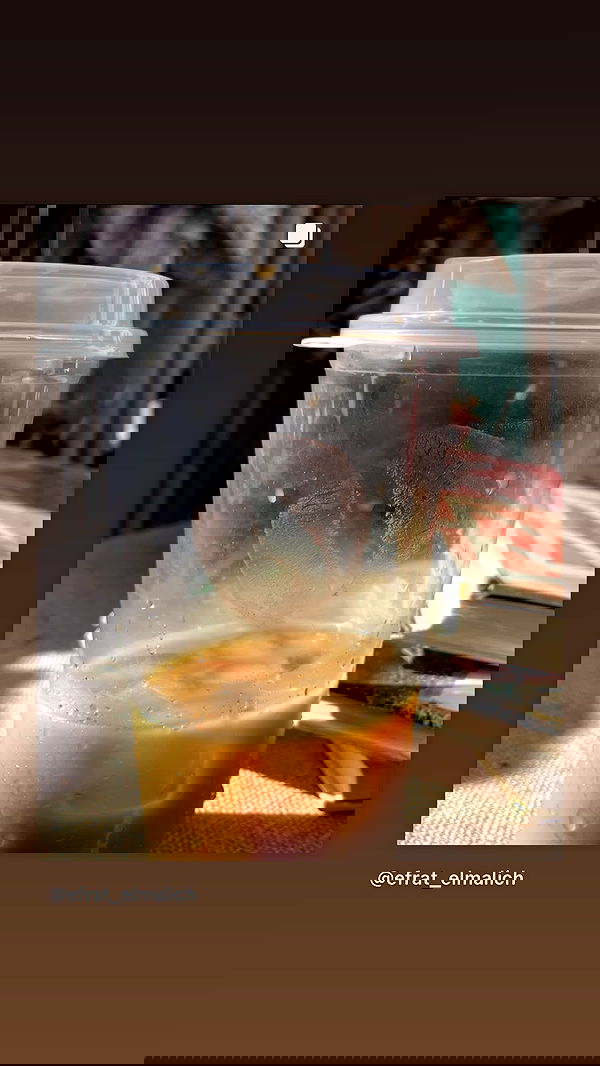 efrat_elmalich image ~ Altpins