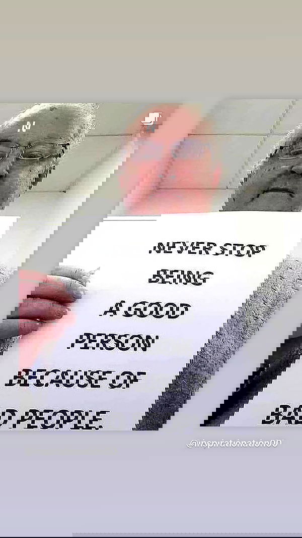 efrat_elmalich image ~ Altpins