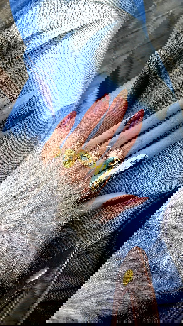 efrat_elmalich image ~ Altpins