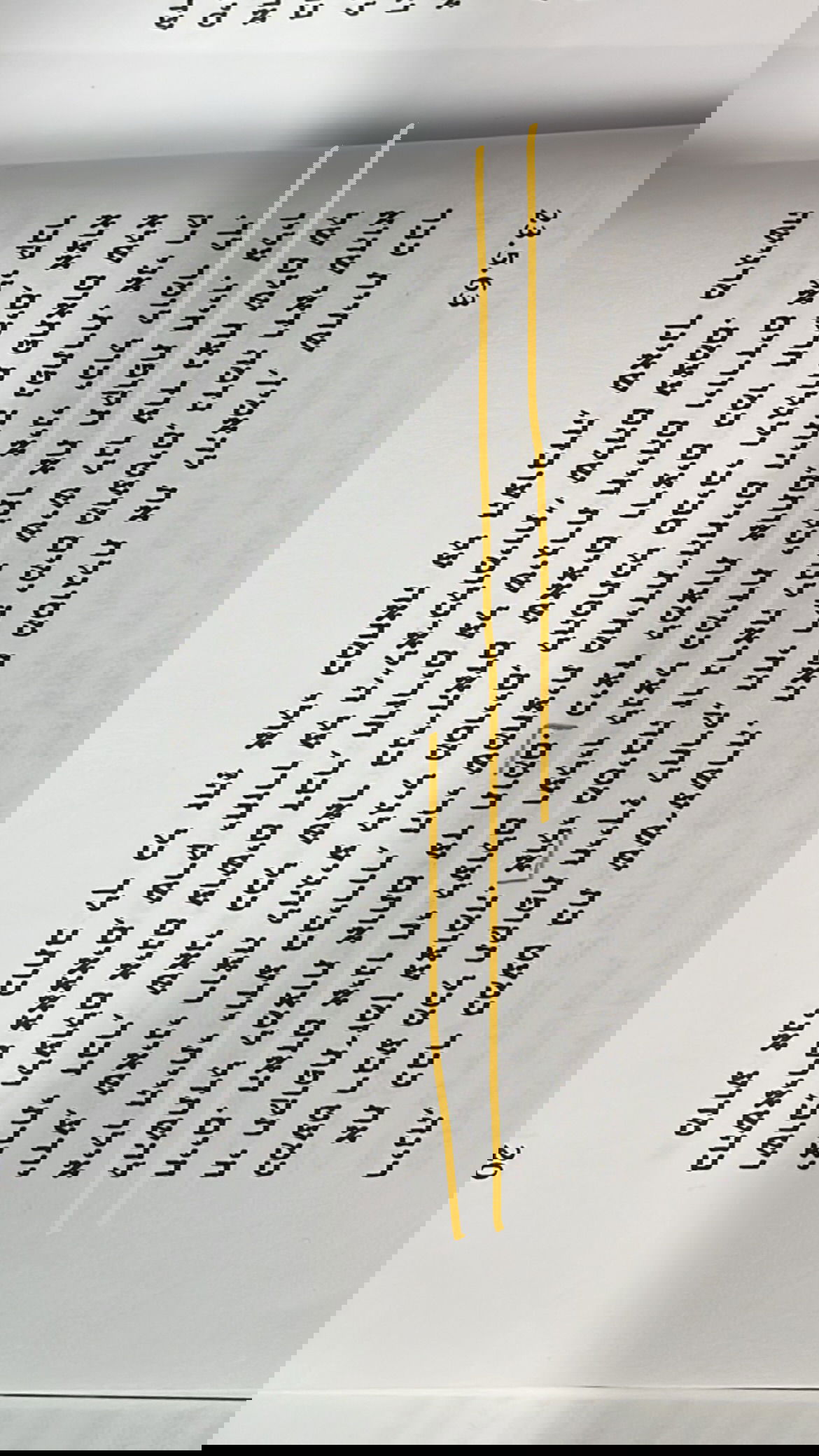 efrat_elmalich instagram image archive image