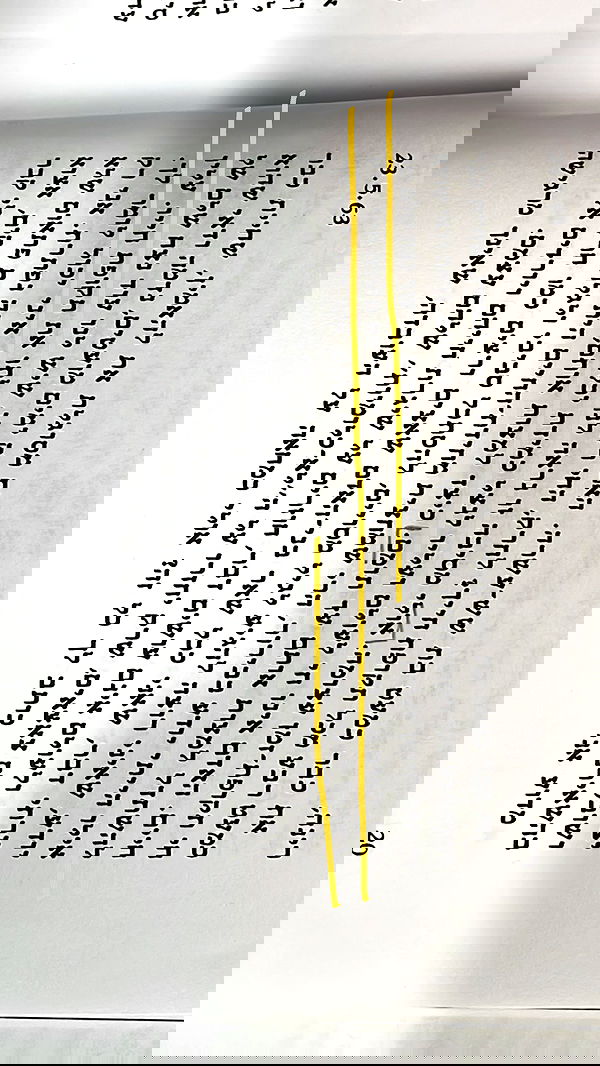 efrat_elmalich image ~ Altpins