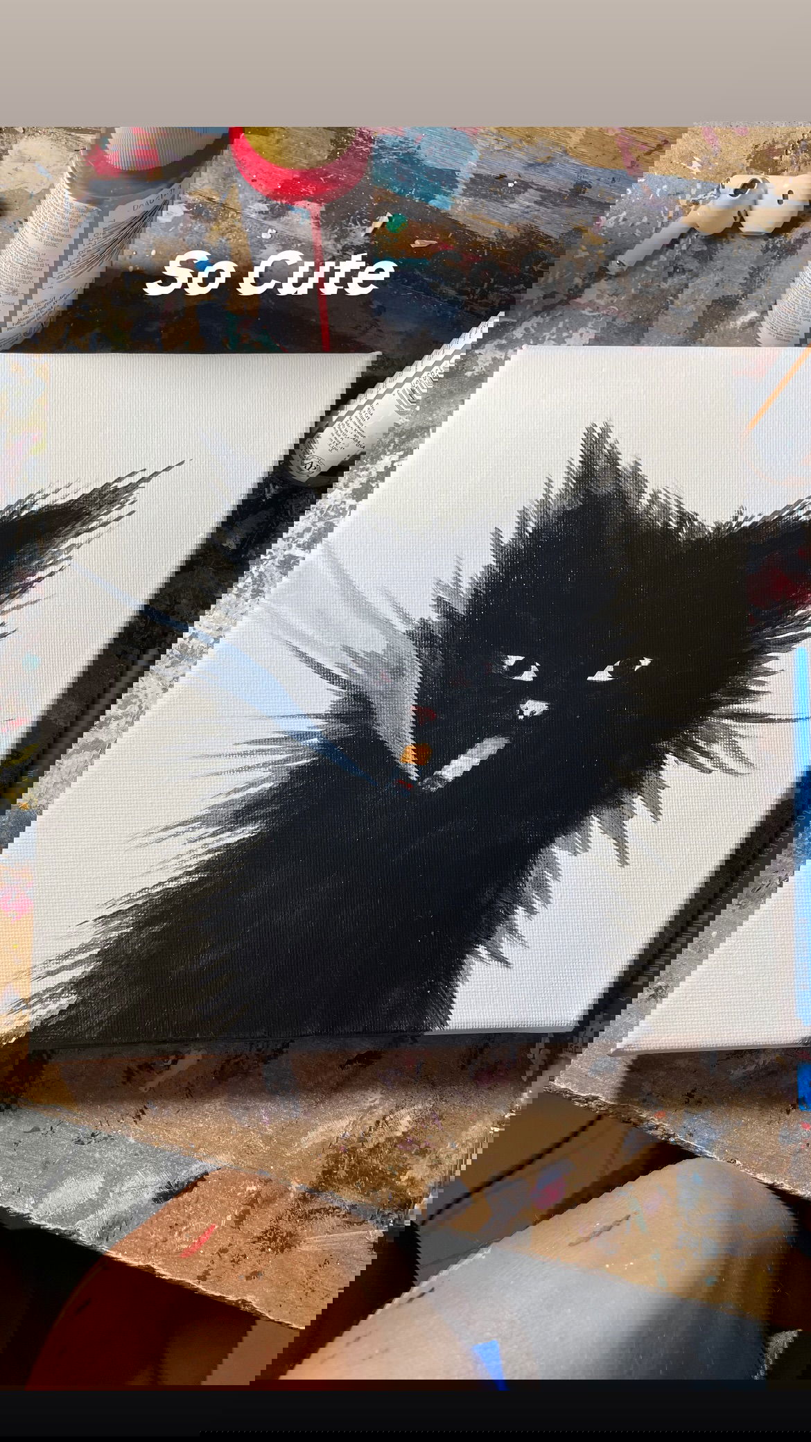 efrat_elmalich instagram image archive image