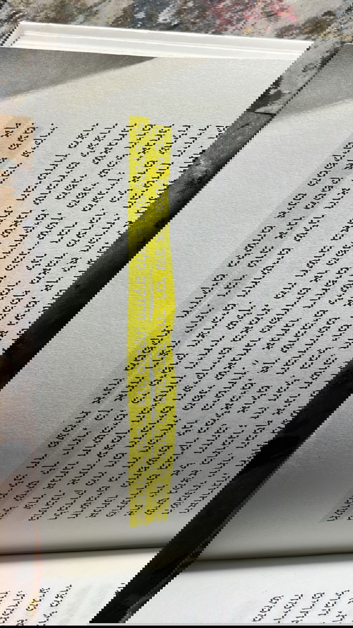 efrat_elmalich instagram image archive image