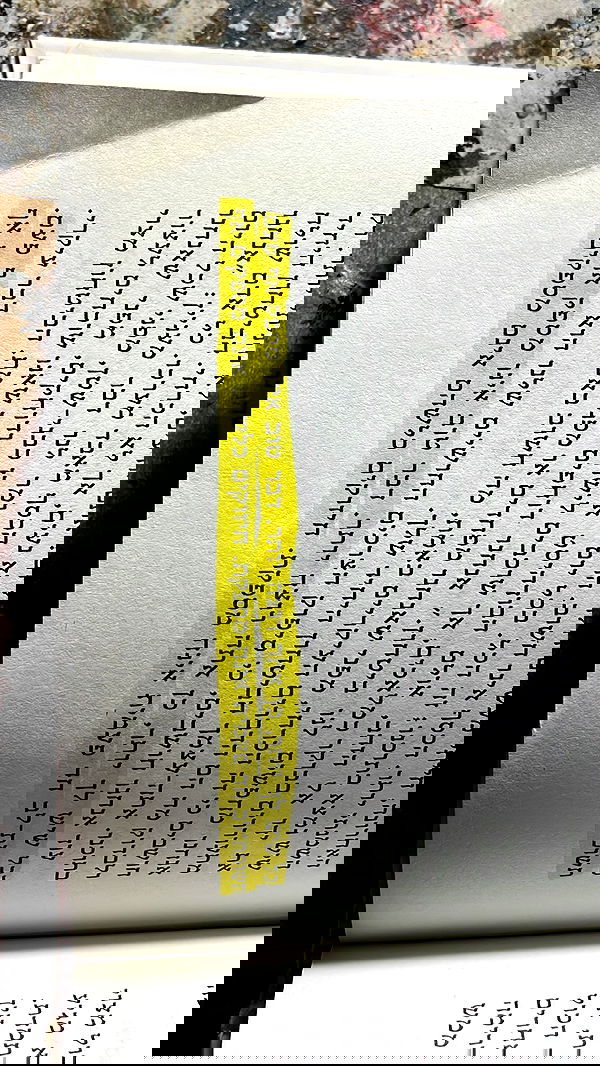 efrat_elmalich image ~ Altpins