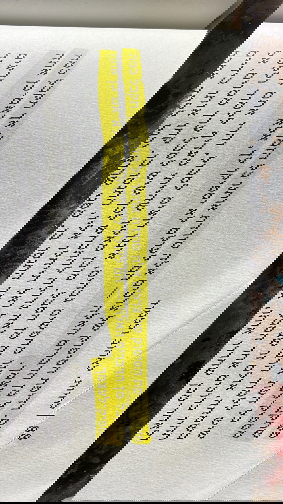 efrat_elmalich instagram image archive image