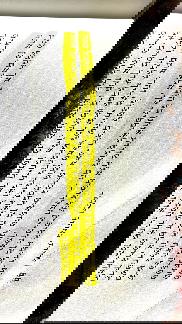 efrat_elmalich image ~ Altpins