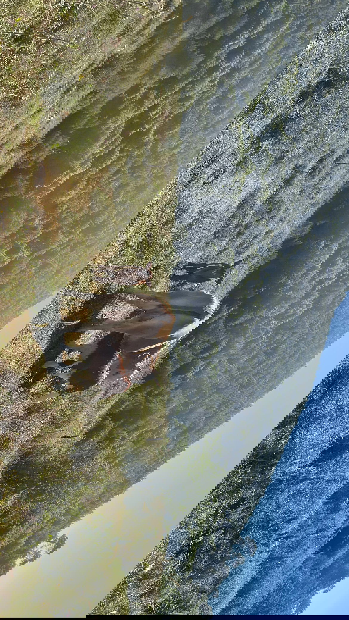 efrat_elmalich instagram image archive image