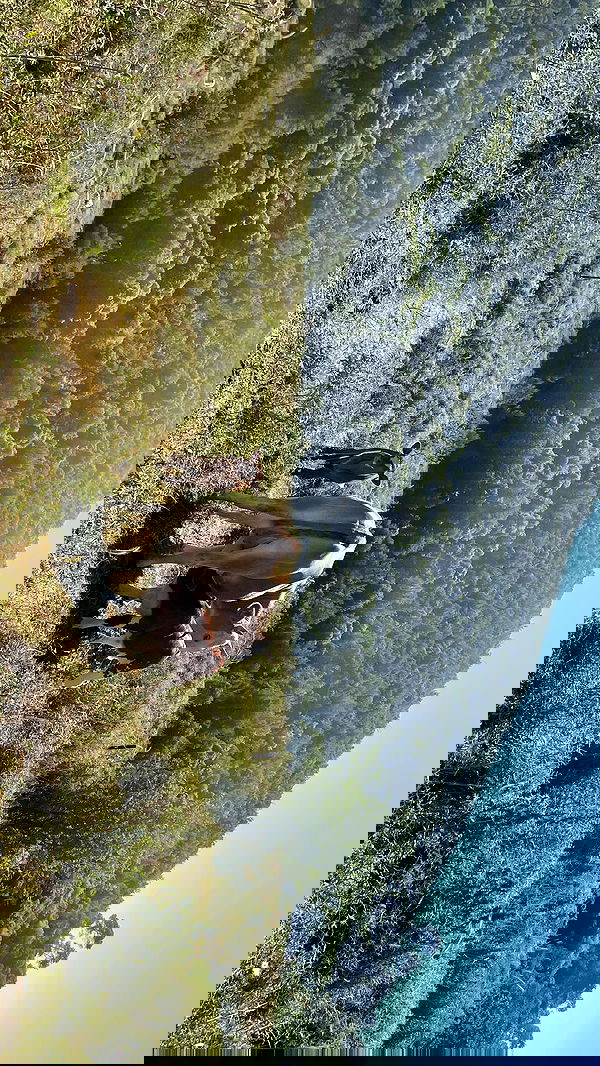 efrat_elmalich image ~ Altpins