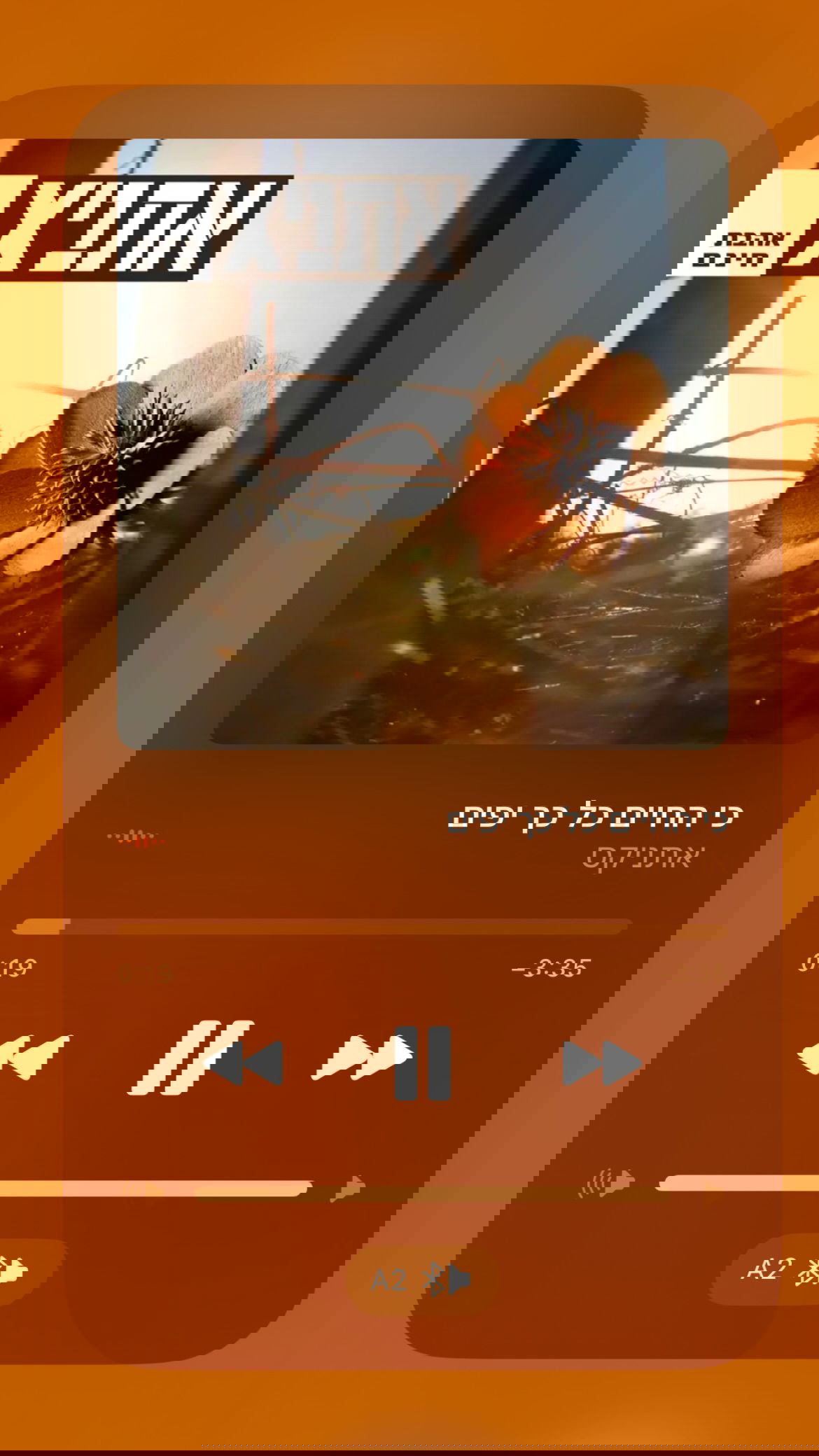 efrat_elmalich instagram image archive image