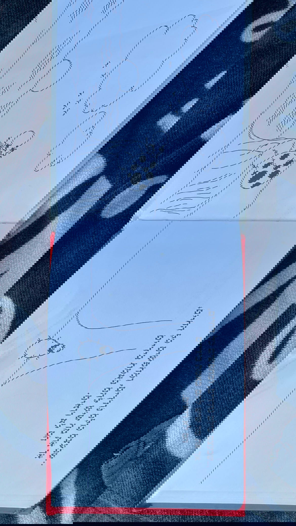 efrat_elmalich instagram image archive image