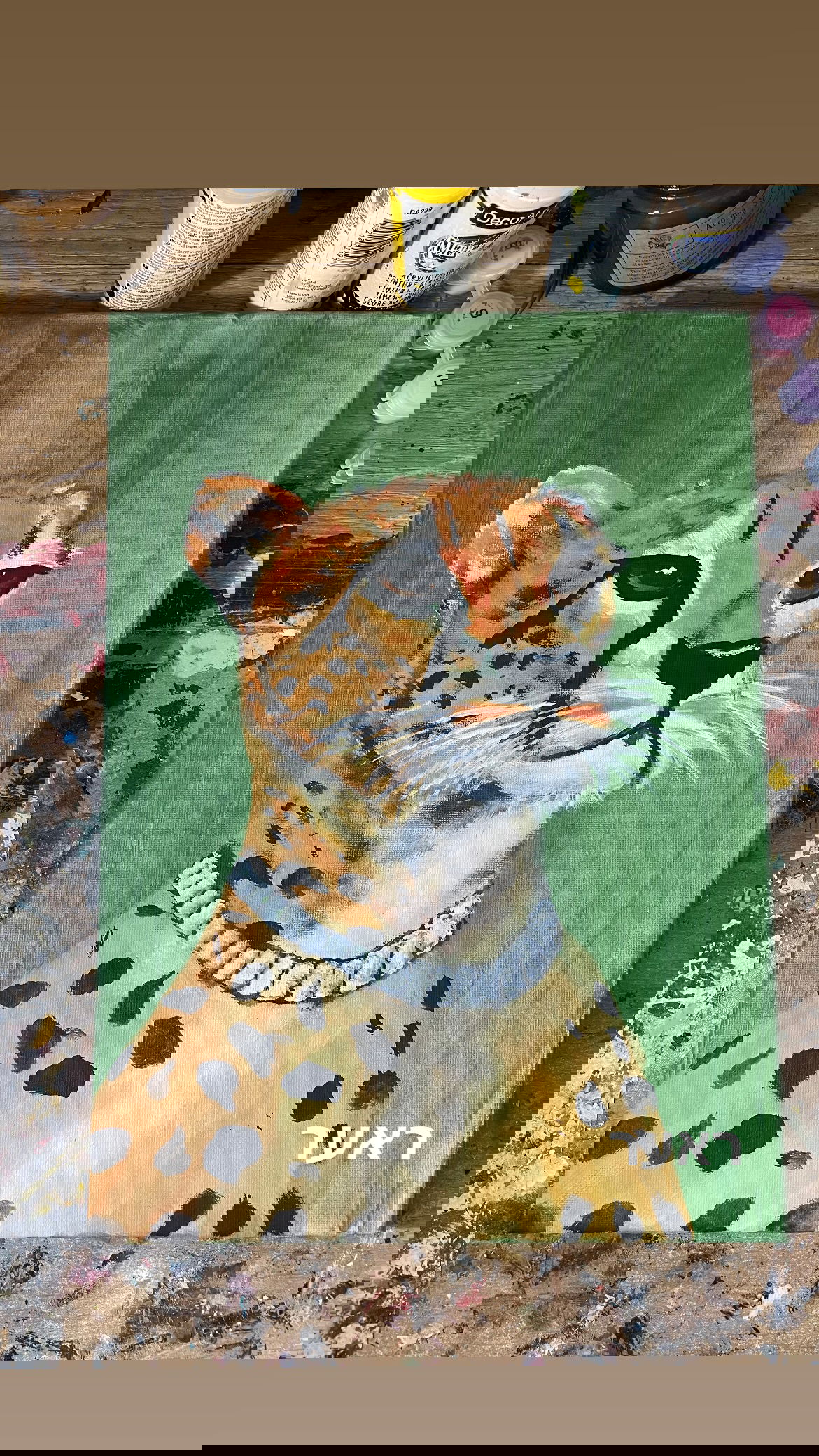 efrat_elmalich instagram image archive image