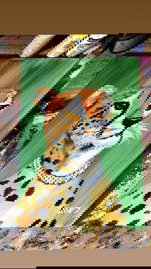 efrat_elmalich image ~ Altpins