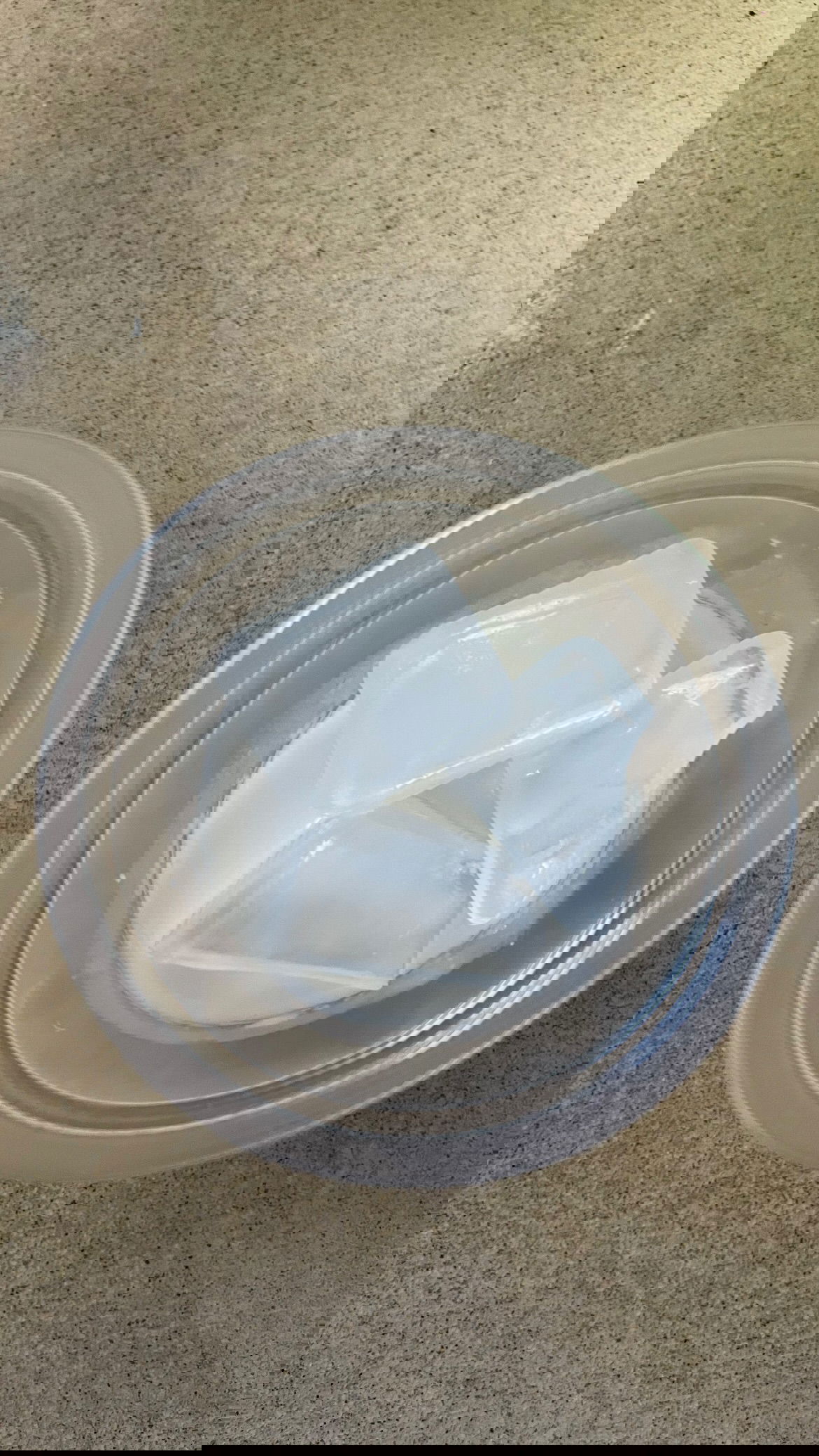 efrat_elmalich instagram image archive image