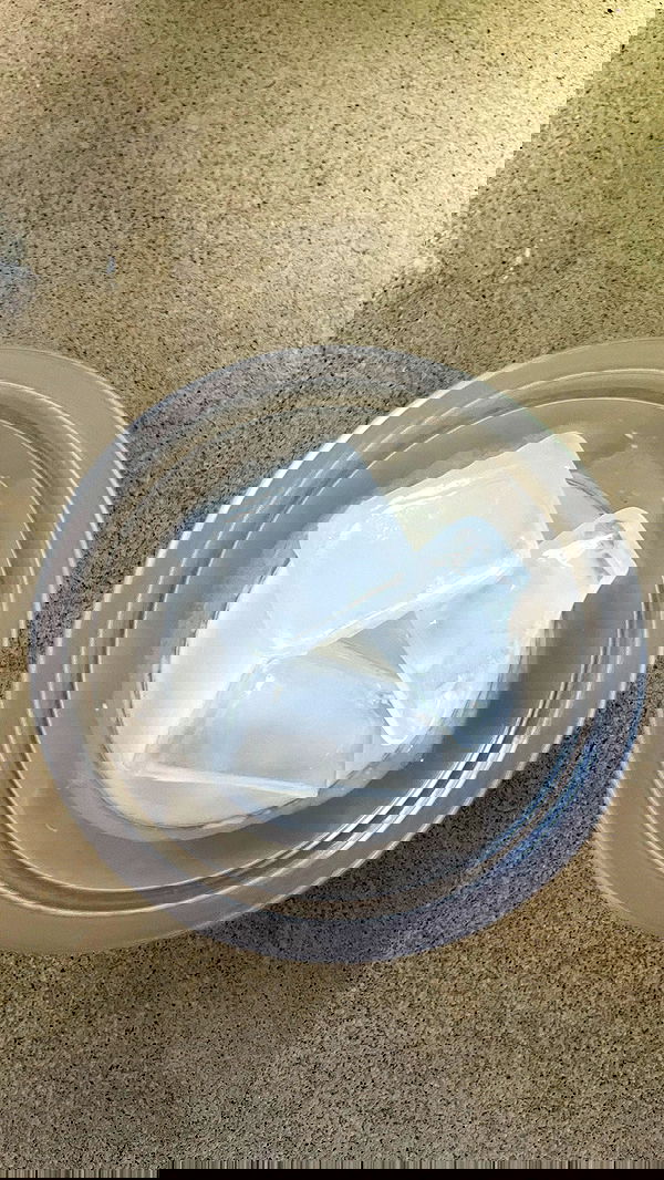 efrat_elmalich image ~ Altpins