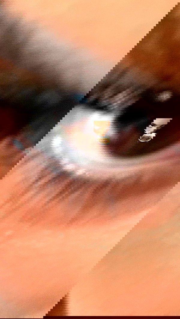 efrat_elmalich image ~ Altpins