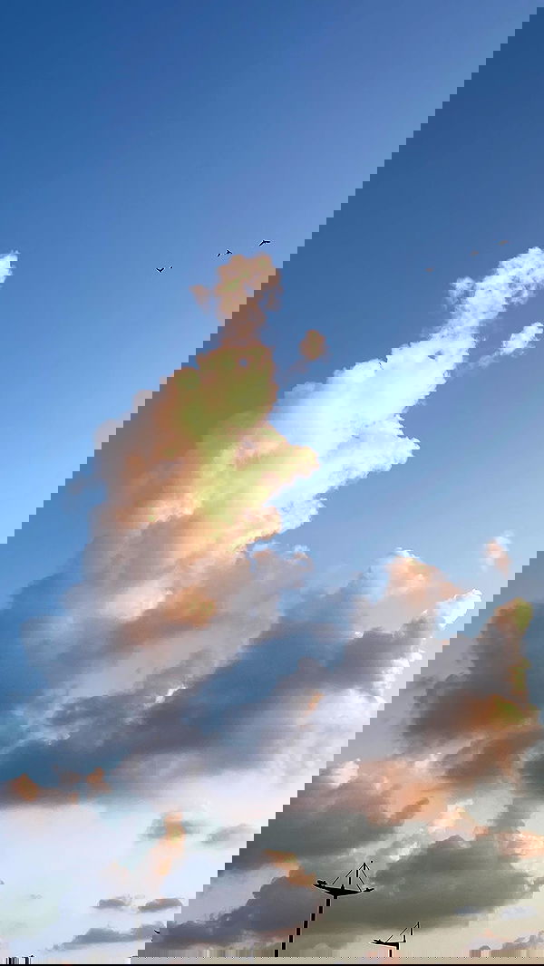 efrat_elmalich image ~ Altpins