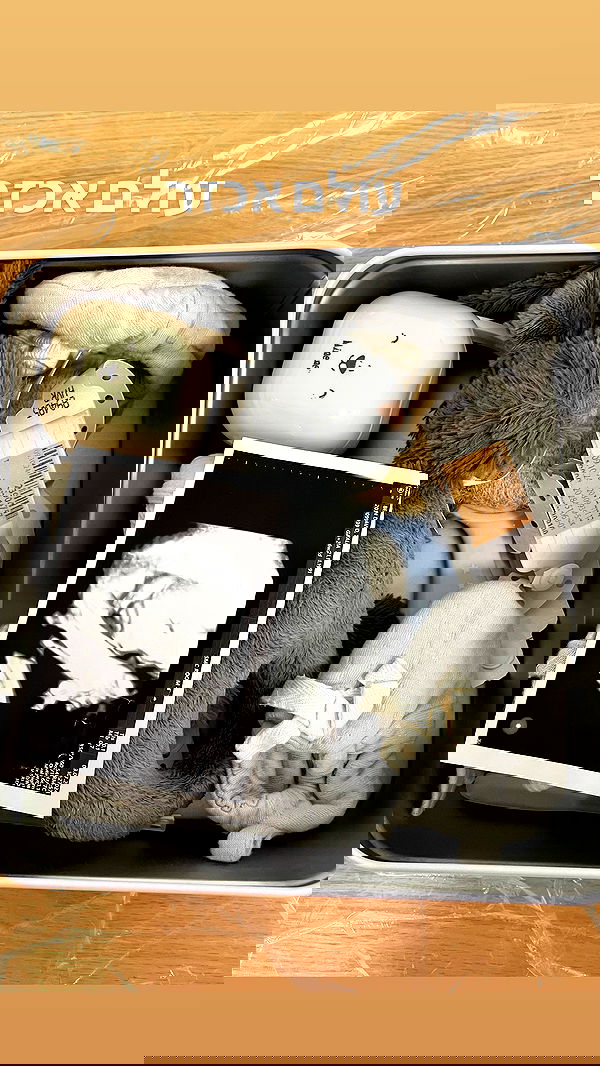 efrat_elmalich image ~ Altpins