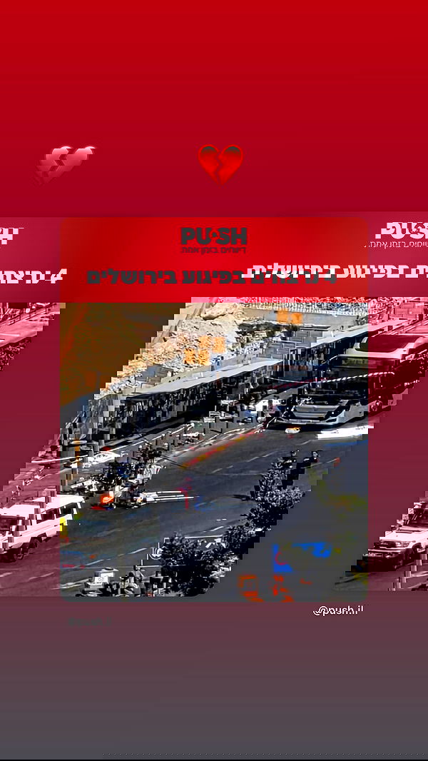 efrat_elmalich image ~ Altpins