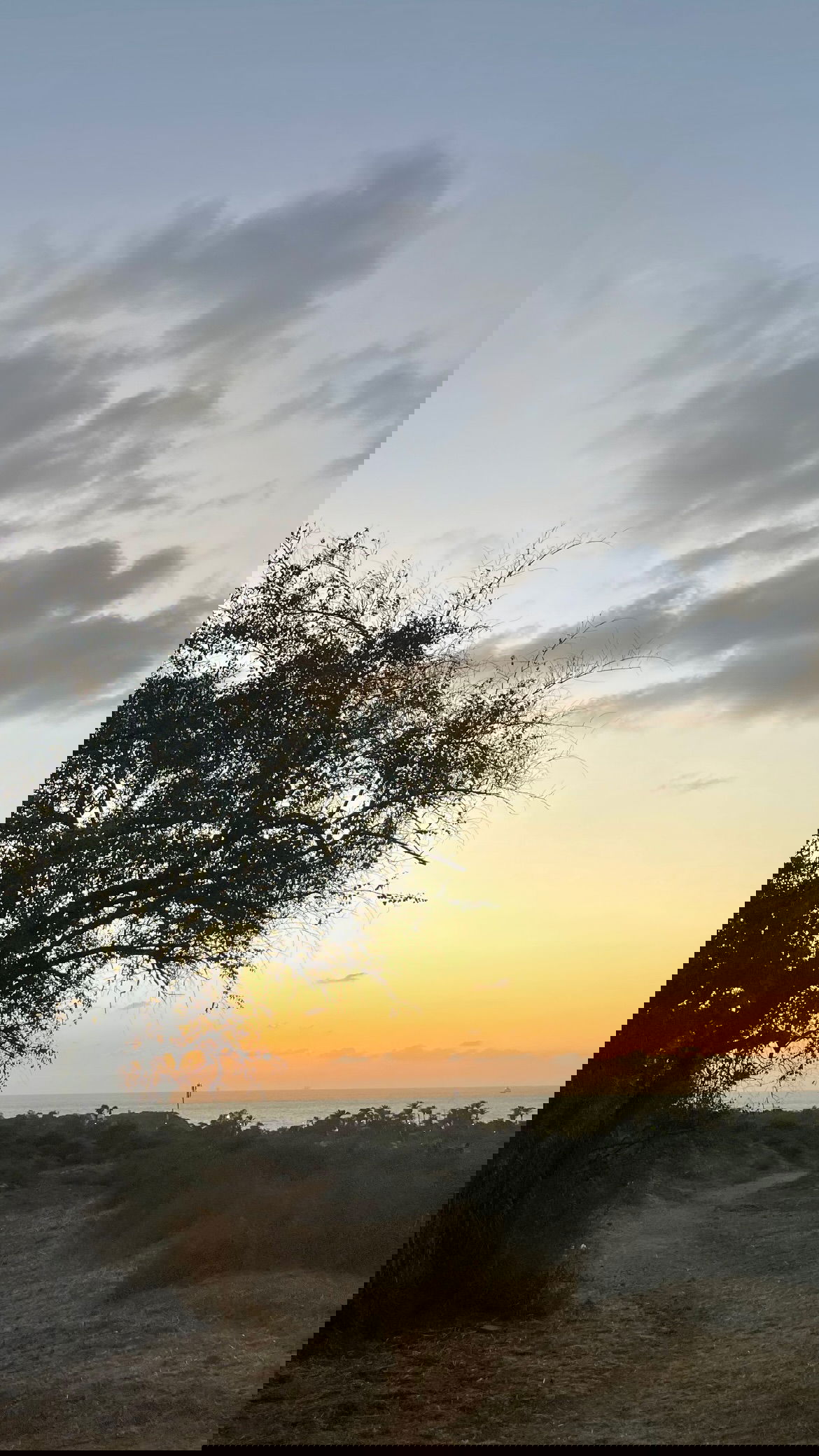 efrat_elmalich instagram image archive image