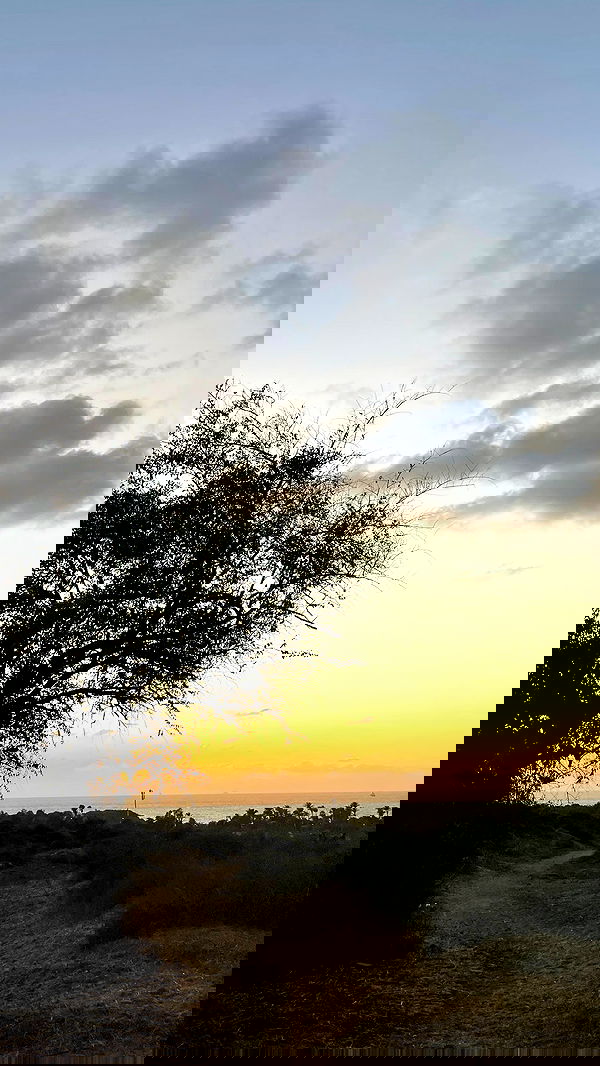 efrat_elmalich image ~ Altpins