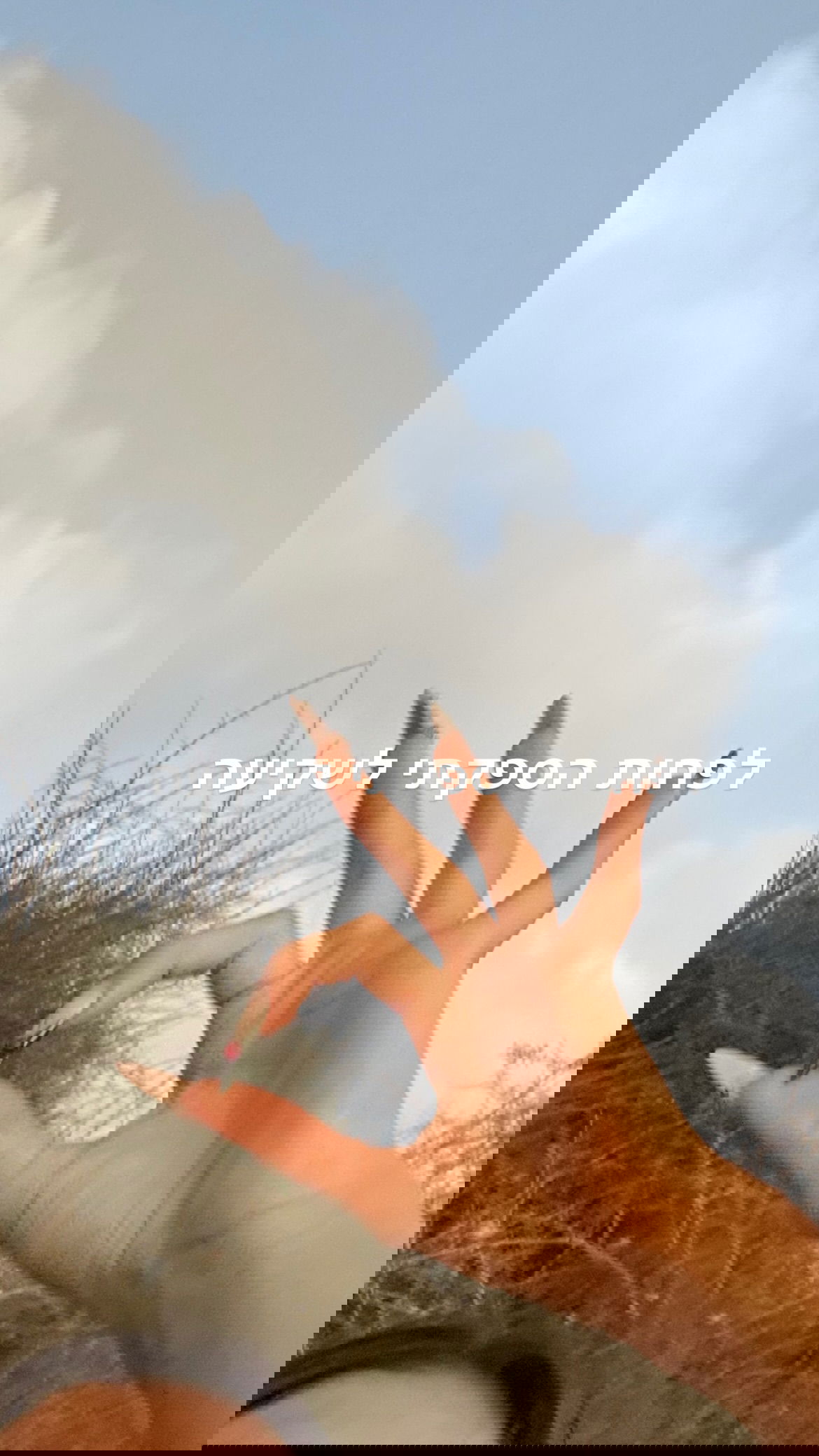 efrat_elmalich instagram image archive image