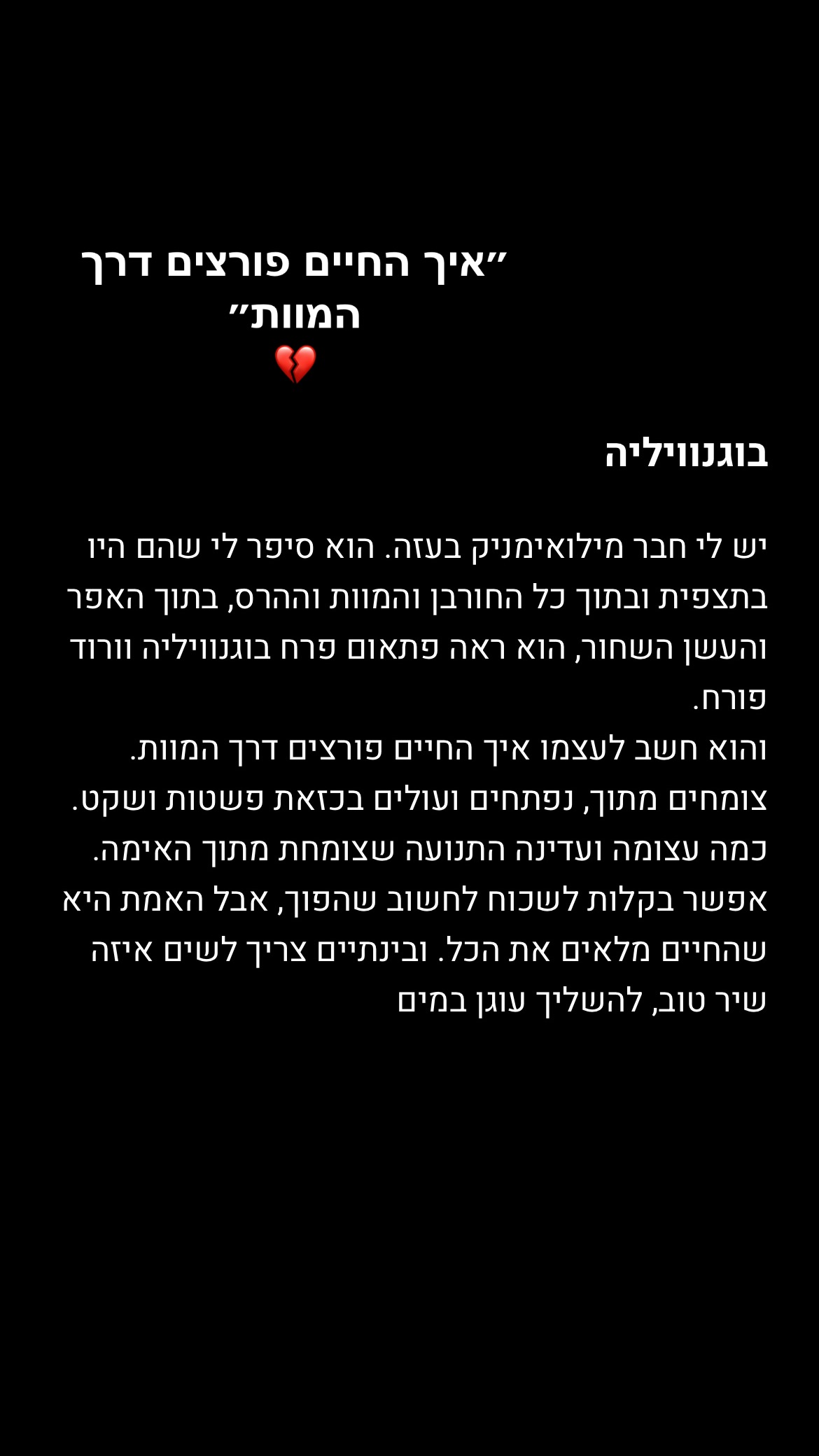 efrat_elmalich instagram image archive image