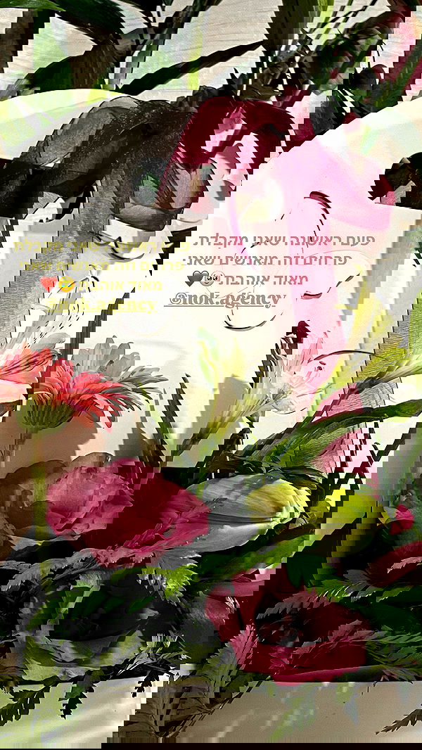 efrat_elmalich image ~ Altpins