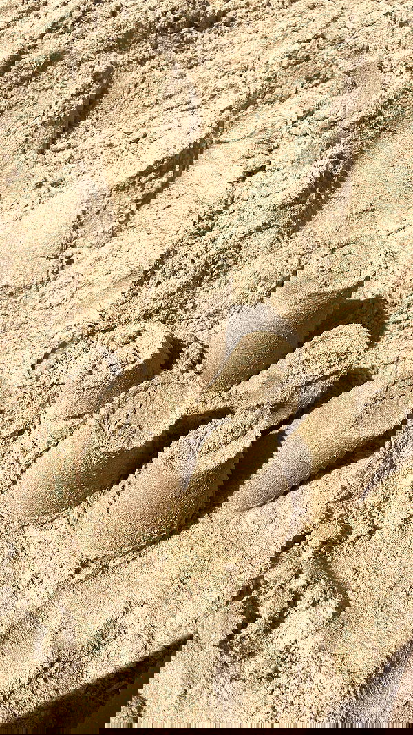 efrat_elmalich image ~ Altpins