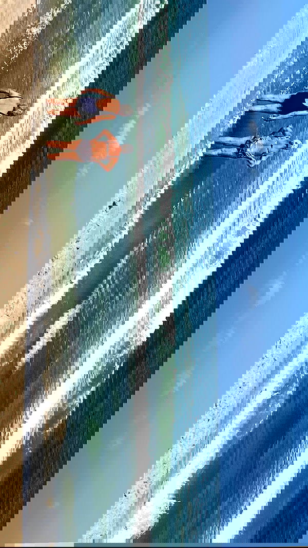 efrat_elmalich image ~ Altpins