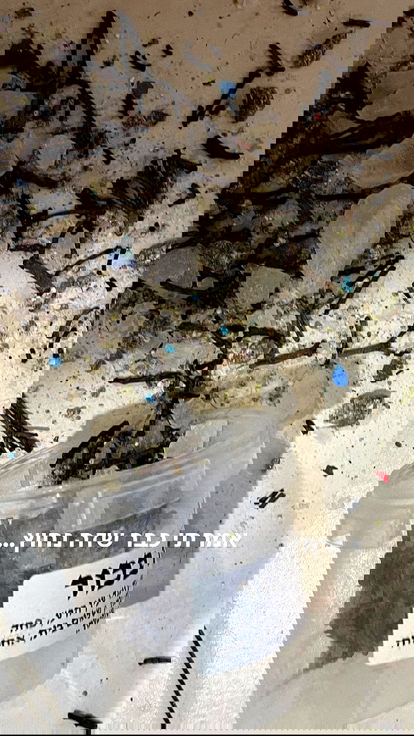 efrat_elmalich image ~ Altpins