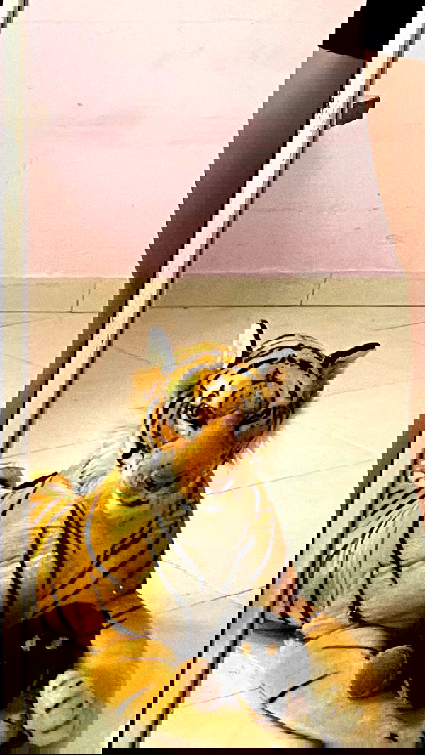 efrat_elmalich image ~ Altpins