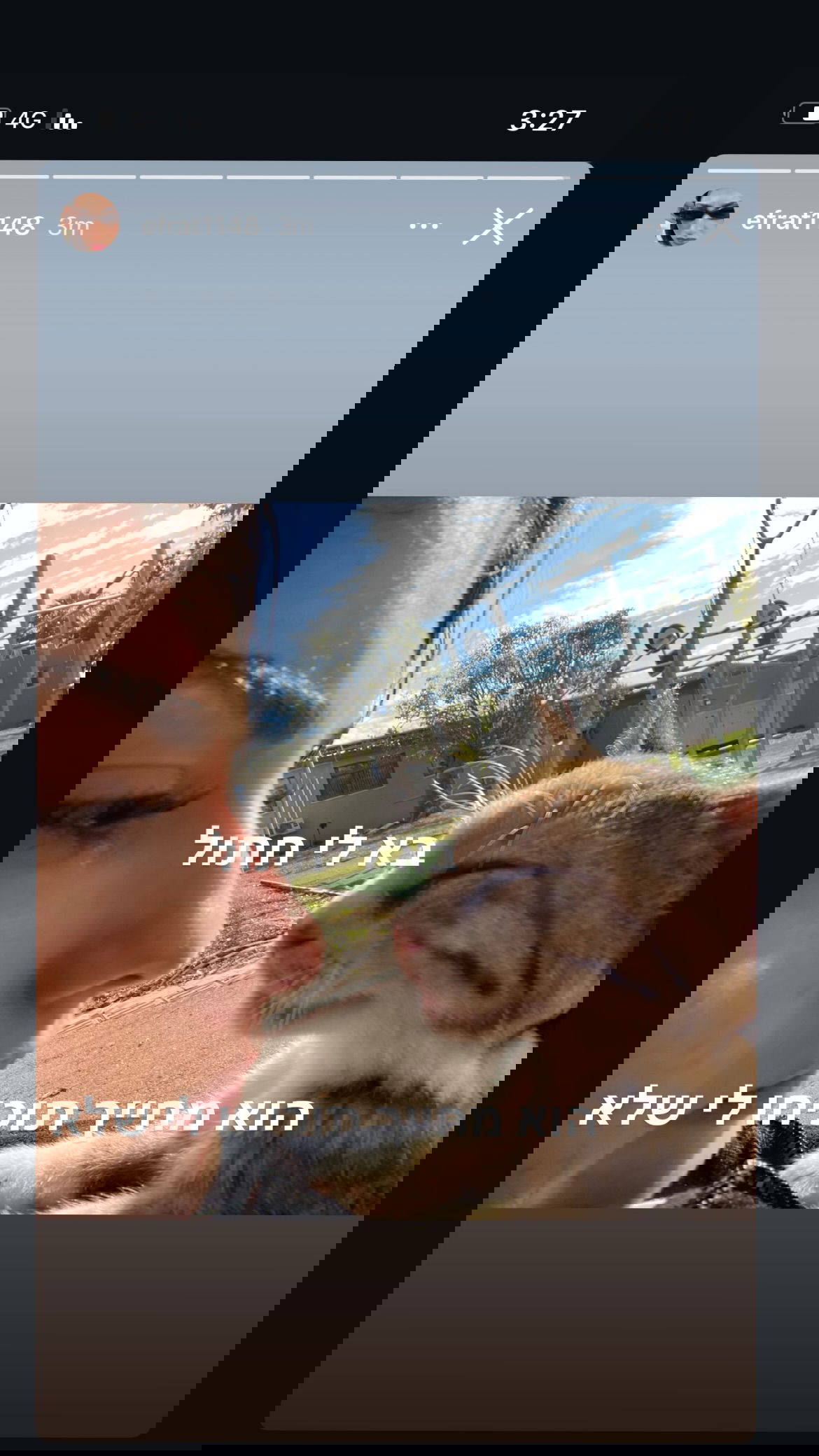 efrat_elmalich instagram image archive image