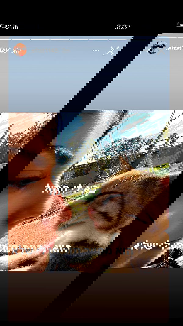 efrat_elmalich image ~ Altpins