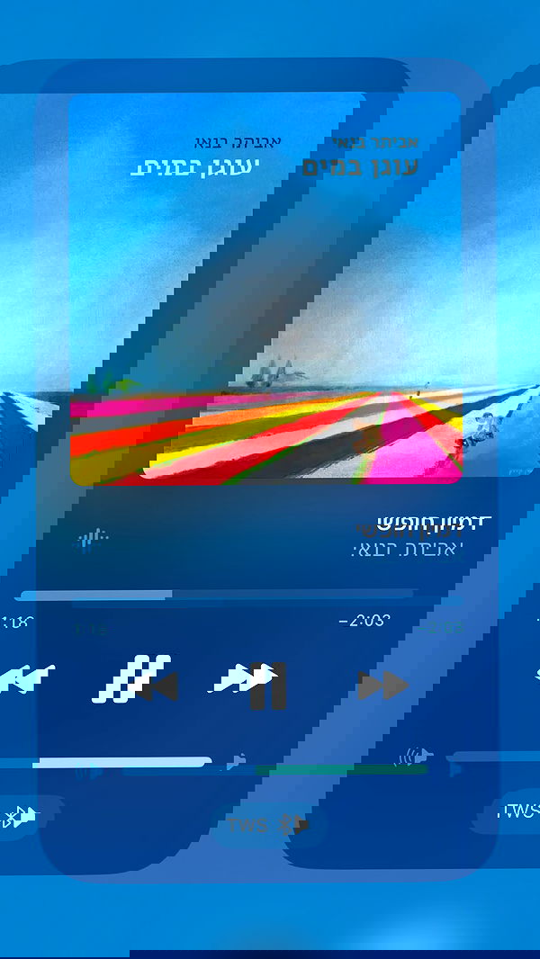 efrat_elmalich image ~ Altpins