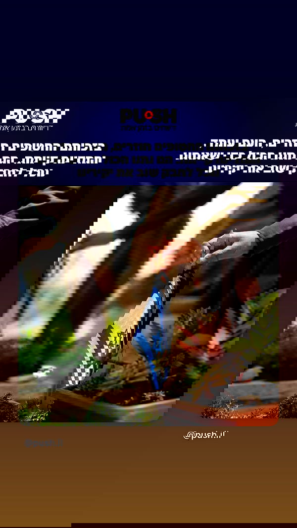 efrat_elmalich image ~ Altpins