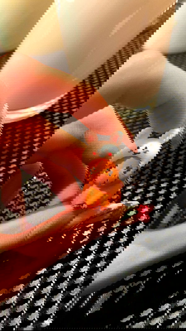 efrat_elmalich image ~ Altpins