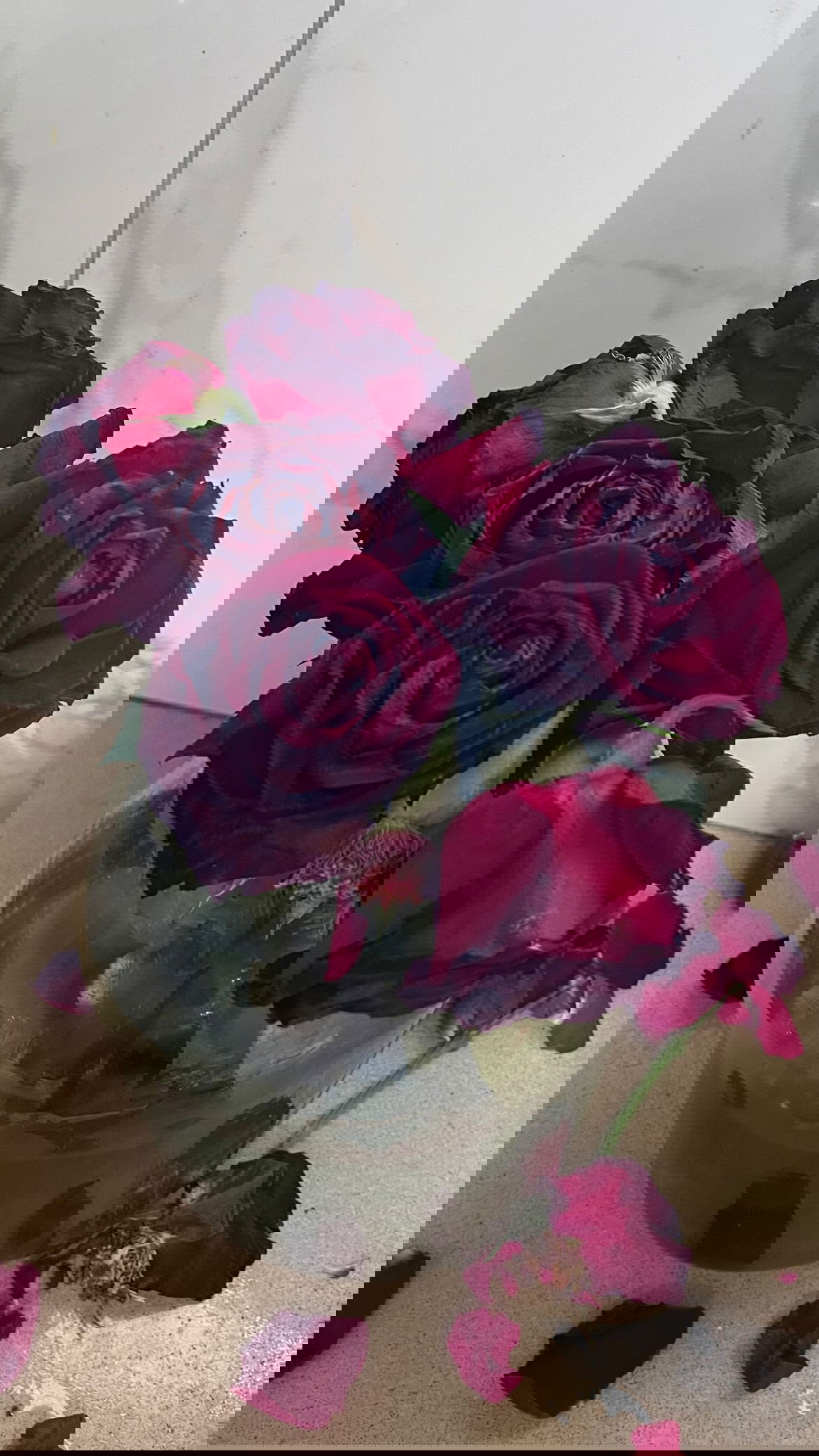 efrat_elmalich instagram image archive image