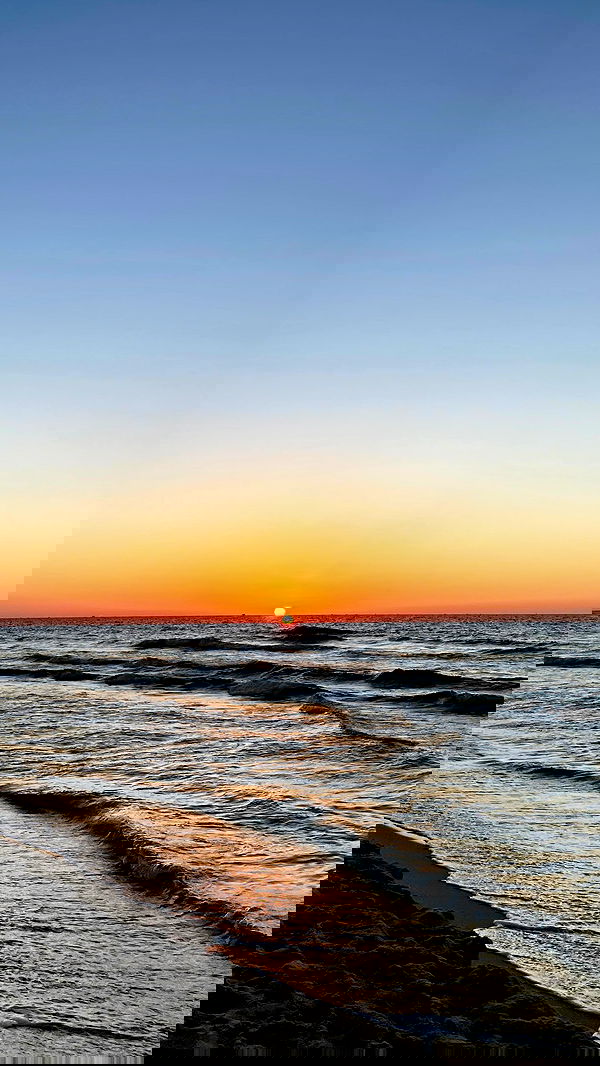 efrat_elmalich image ~ Altpins