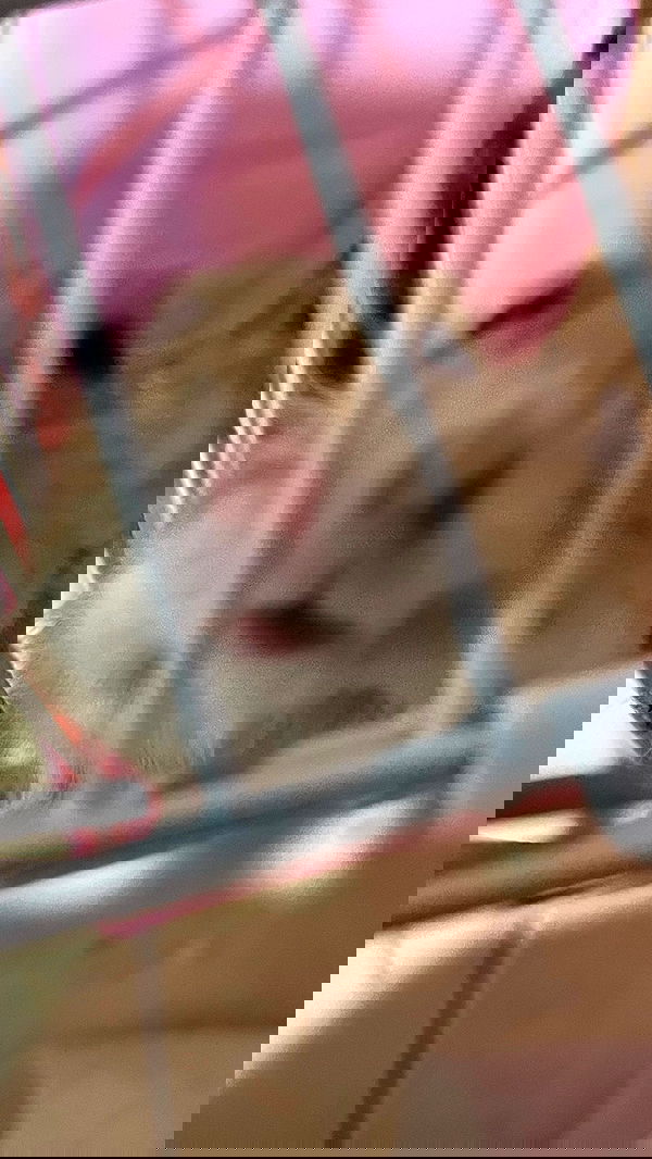 efrat_elmalich image ~ Altpins