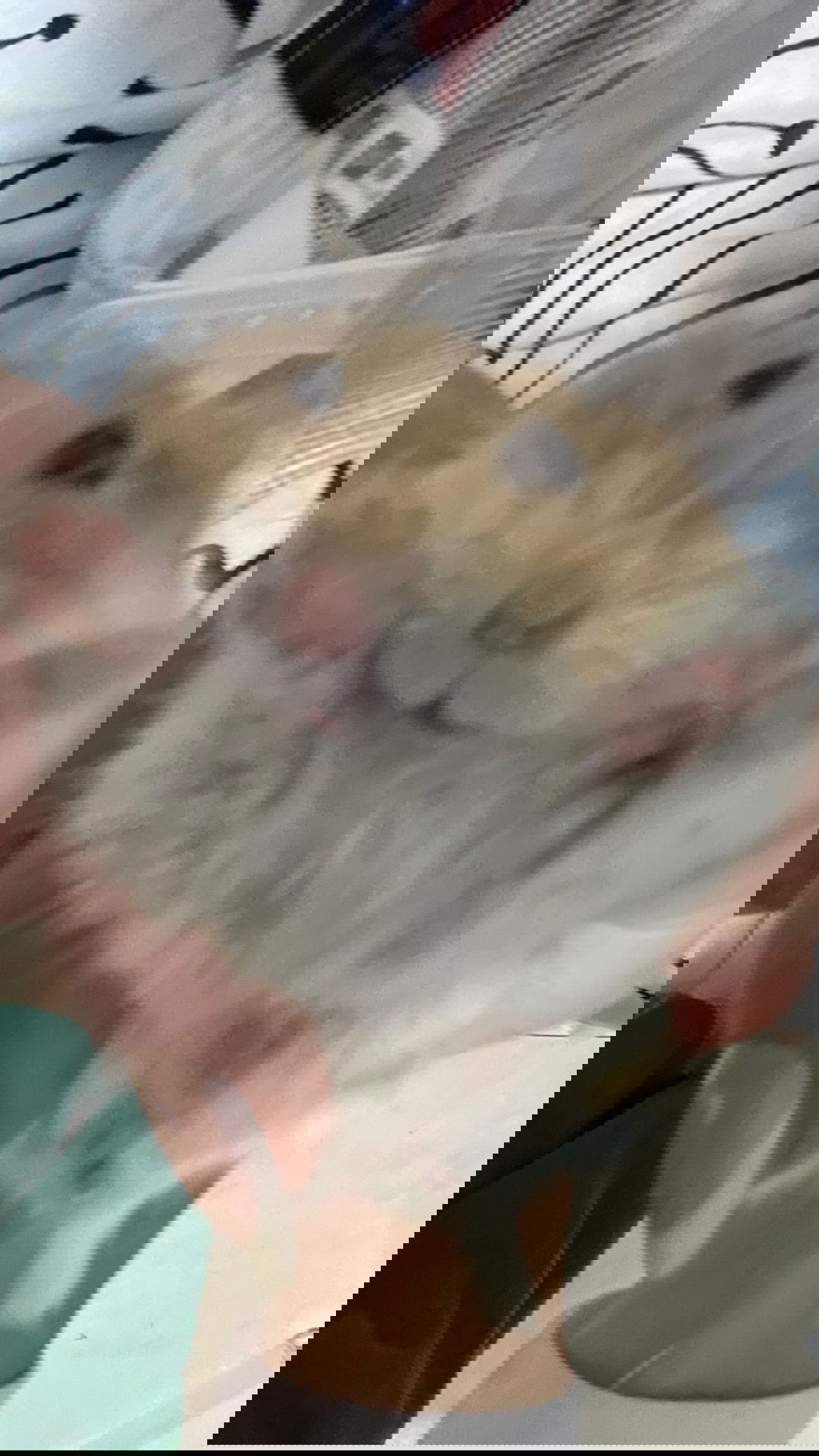 efrat_elmalich instagram image archive image