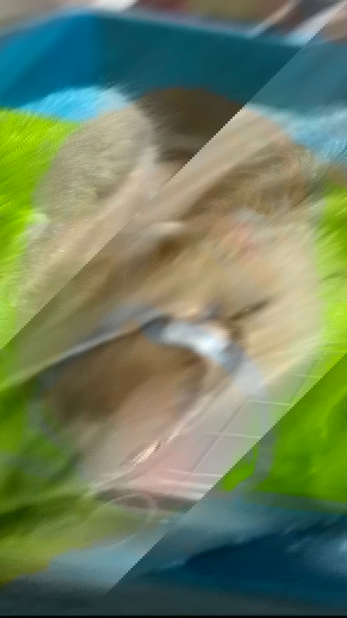 efrat_elmalich instagram image archive image