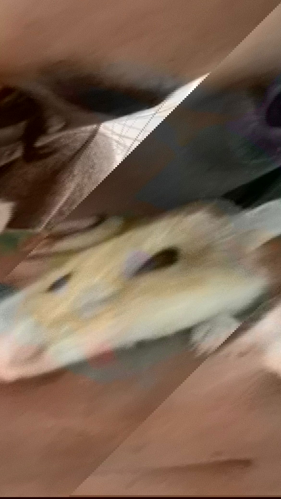 efrat_elmalich instagram image archive image