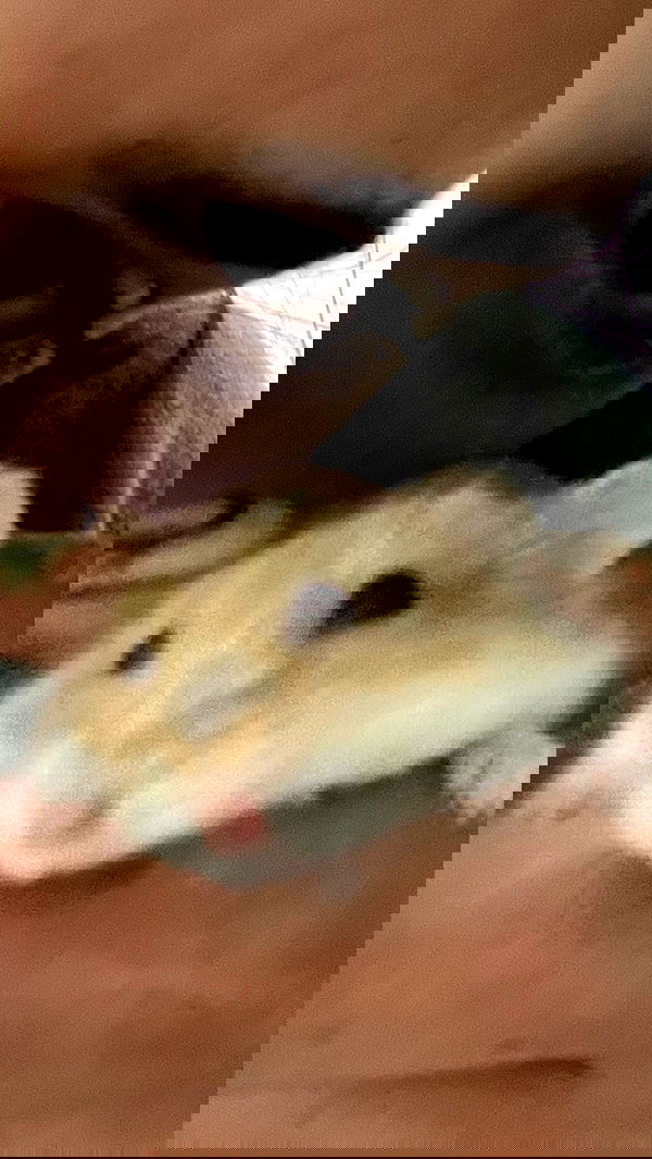 efrat_elmalich image ~ Altpins