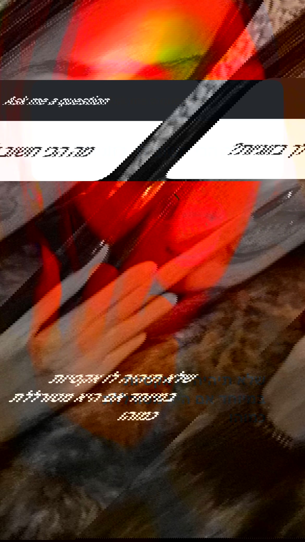 efrat_elmalich instagram image archive image