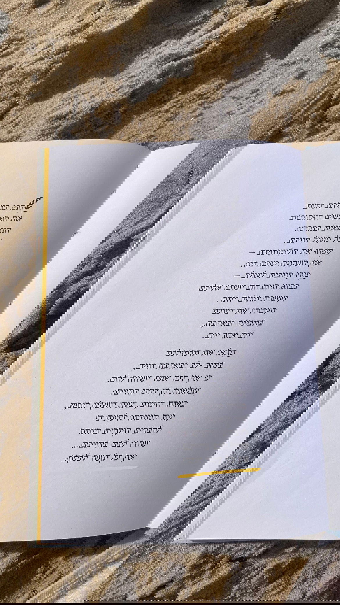 efrat_elmalich instagram image archive image